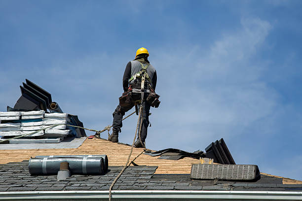 Professional Roof Replacement technician working in Minden, WV